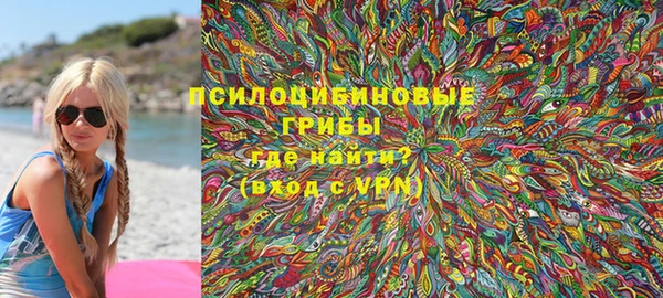 ГАЛЛЮЦИНОГЕННЫЕ ГРИБЫ Зеленодольск