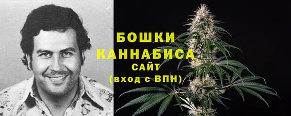 ГАЛЛЮЦИНОГЕННЫЕ ГРИБЫ Зеленодольск