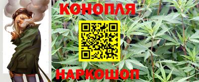 прущая мука Канаш