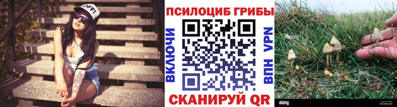 Псилоцибиновые грибы Psilocybe Искитим