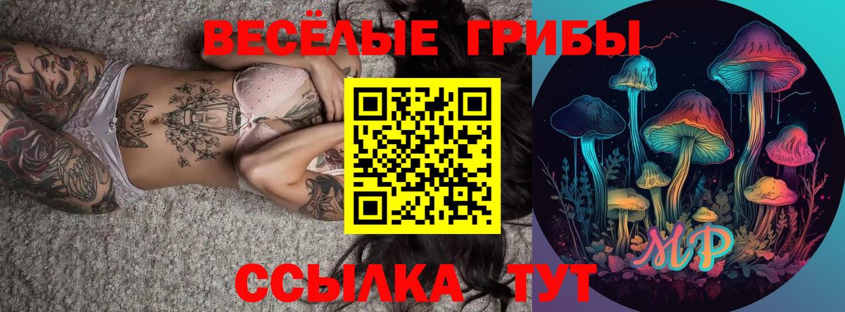 Галлюциногенные грибы MAGIC MUSHROOMS Искитим